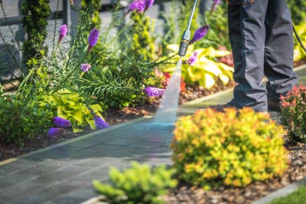Best Pool Deck Cleaning  in Beecher, MI