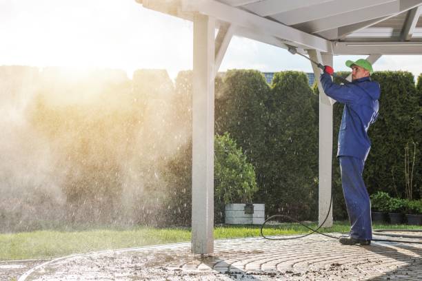 Best Solar Panel Cleaning  in Beecher, MI